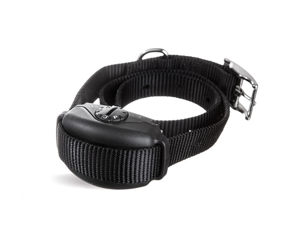 Jax DogWatch Hidden Fences, Ponte Vedra, Florida | SideWalker Leash Trainer Product Image